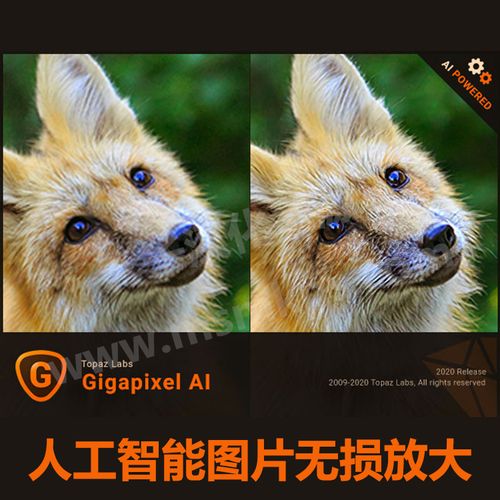 gigapixel 5.6.1ai人工智能图片无损放大软件汉化版win+mac